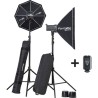 Juego de flashes electrónicos con accesorios D-Lite 4 Rx