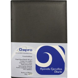Agenda Ejecutiva Dapro Diaria