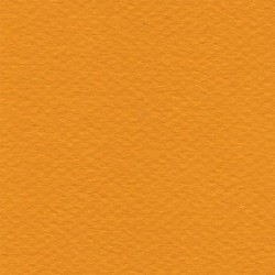 Cartulina Mi-Teintes Canson 553 Jaune Soleil de 160 G 50X65 CM