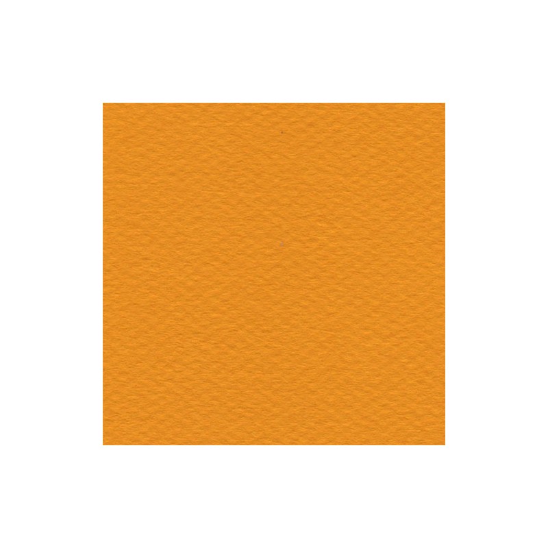 Cartulina Mi-Teintes Canson 553 Jaune Soleil de 160 G 50X65 CM