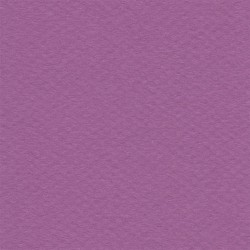 Cartulina Mi-Teintes Canson 507 Violet de 160 G 50X65 CM