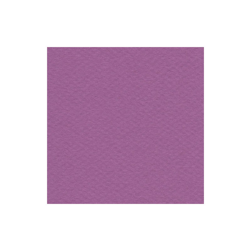 Cartulina Mi-Teintes Canson 507 Violet de 160 G 50X65 CM