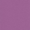 Cartulina Mi-Teintes Canson 507 Violet de 160 G 50X65 CM