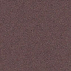 Cartulina Mi-Teintes Canson 503 Lie De Vin de 160 G 50X65 CM