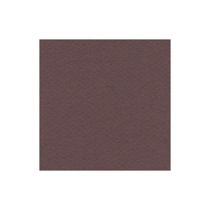 Cartulina Mi-Teintes Canson 503 Lie De Vin de 160 G 50X65 CM