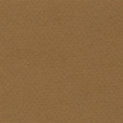 Cartulina Mi-Teintes Canson 502 Havane Clair de 160 G 50X65 CM