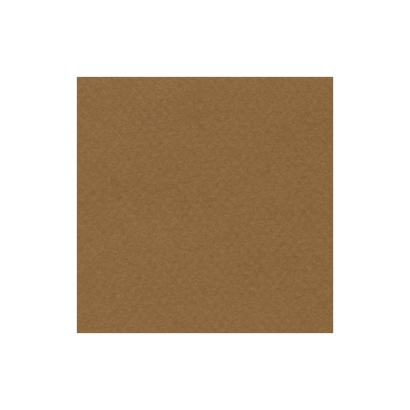 Cartulina Mi-Teintes Canson 502 Havane Clair de 160 G 50X65 CM