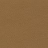 Cartulina Mi-Teintes Canson 502 Havane Clair de 160 G 50X65 CM