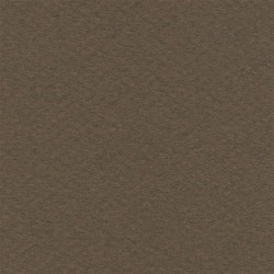 Cartulina Mi-Teintes Canson 501 Marrón Fonce de 160 G 50X65 CM