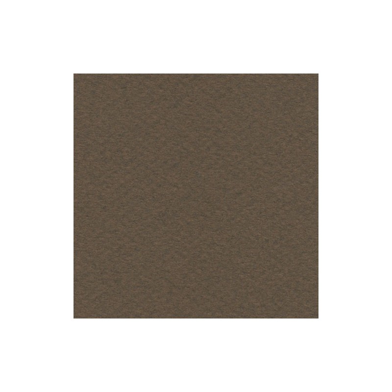 Cartulina Mi-Teintes Canson 501 Marrón Fonce de 160 G 50X65 CM
