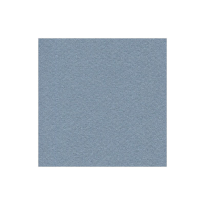 Cartulina Mi-Teintes Canson 490 Bleu Clair de 160 G 50X65 CM