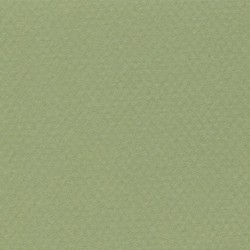 Cartulina Mi-Teintes Canson 480 Vert Amand de 160 G 50X65 CM