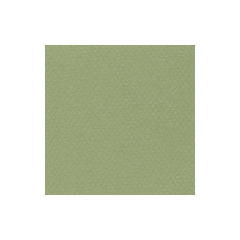 Cartulina Mi-Teintes Canson 480 Vert Amand de 160 G 50X65 CM