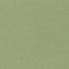 Cartulina Mi-Teintes Canson 480 Vert Amand de 160 G 50X65 CM