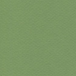Cartulina Mi-Teintes Canson 475 Vert Pomme de 160 G 50X65 CM