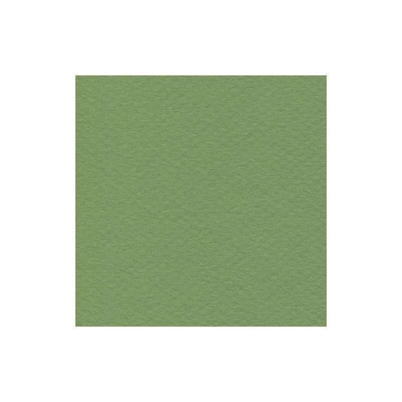 Cartulina Mi-Teintes Canson 475 Vert Pomme de 160 G 50X65 CM