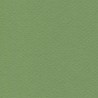 Cartulina Mi-Teintes Canson 475 Vert Pomme de 160 G 50X65 CM