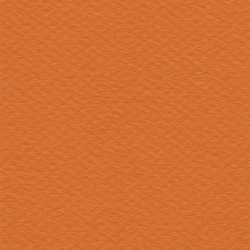 Cartulina Mi-Teintes Canson 453 Orange de 160 G 50X65 CM
