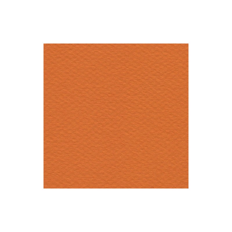 Cartulina Mi-Teintes Canson 453 Orange de 160 G 50X65 CM
