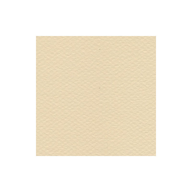 Cartulina Mi-Teintes Canson 407 Lichen de 160 G 50X65 CM
