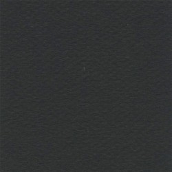 Cartulina Mi-Teintes Canson 425 Noir de 160 G 50X65 CM
