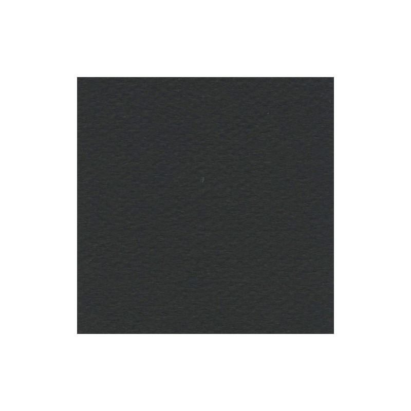 Cartulina Mi-Teintes Canson 425 Noir de 160 G 50X65 CM
