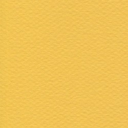 Cartulina Mi-Teintes Canson 400 Bouton Dor de 160 G 50X65 CM