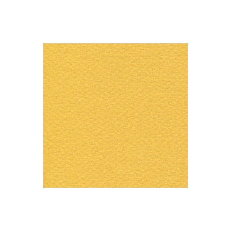 Cartulina Mi-Teintes Canson 400 Bouton Dor de 160 G 50X65 CM