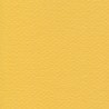 Cartulina Mi-Teintes Canson 400 Bouton Dor de 160 G 50X65 CM