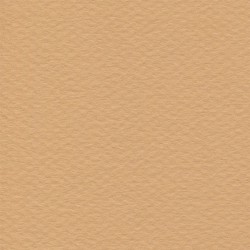 Cartulina Mi-Teintes Canson 374 Terre de Saumonde 160 G 50X65 CM