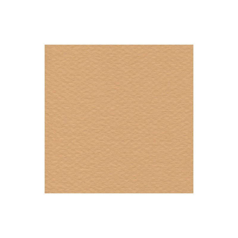 Cartulina Mi-Teintes Canson 374 Terre de Saumonde 160 G 50X65 CM