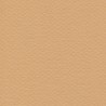 Cartulina Mi-Teintes Canson 374 Terre de Saumonde 160 G 50X65 CM