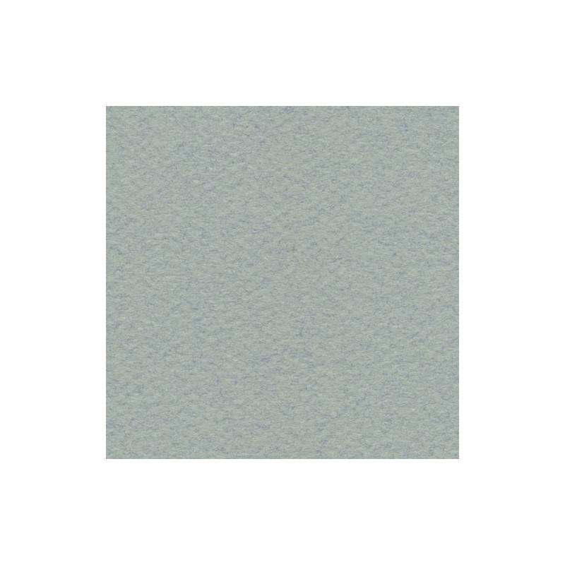 Cartulina Mi-Teintes Canson 354 Gris Ciel de 160 G 50X65 CM