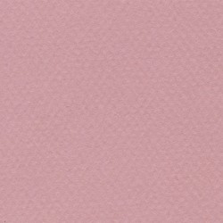 Cartulina Mi-Teintes Canson 352 Rose Fonce de 160 G 50X65 CM