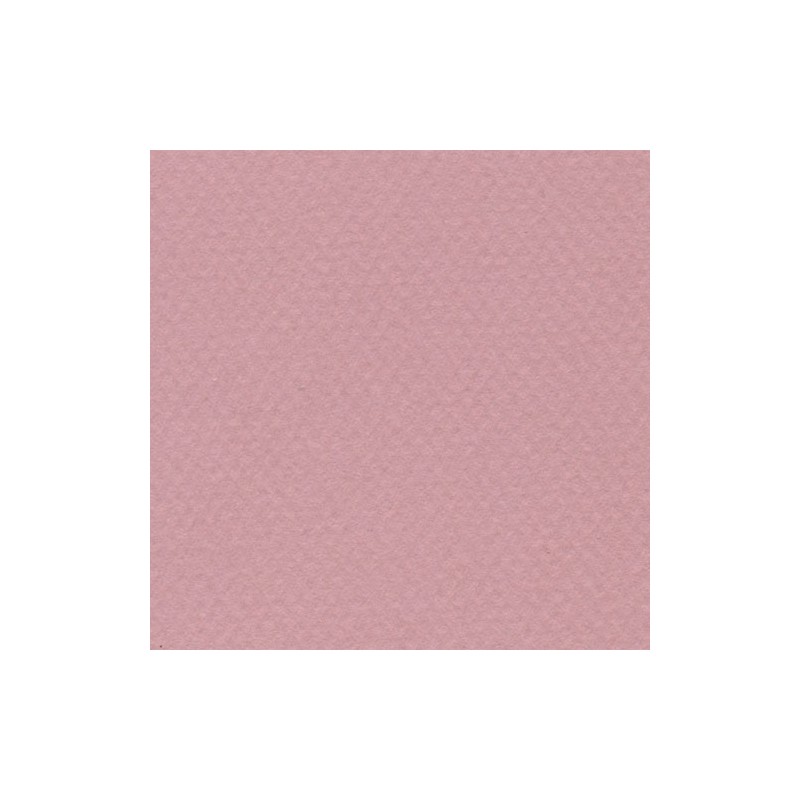 Cartulina Mi-Teintes Canson 352 Rose Fonce de 160 G 50X65 CM