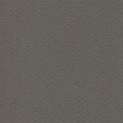 Cartulina Mi-Teintes Canson 345 Gris Ardoise de 160 G 50X65 CM