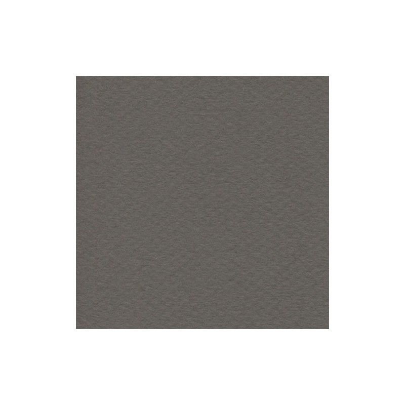 Cartulina Mi-Teintes Canson 345 Gris Ardoise de 160 G 50X65 CM