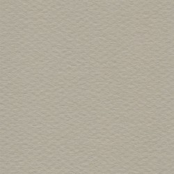Cartulina Mi-Teintes Canson 343 Gris Trianon de 160 G 50X65 CM