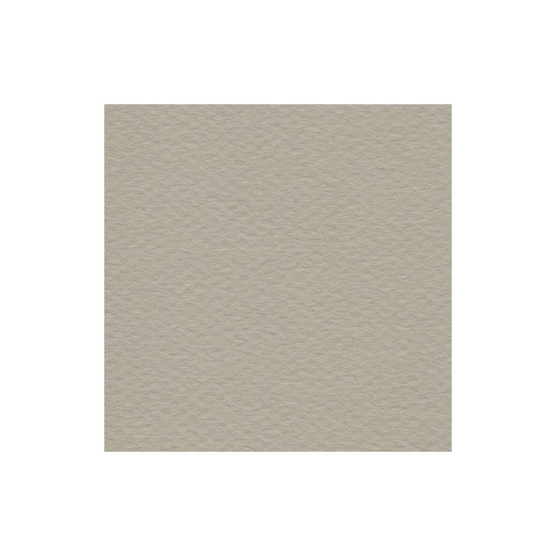 Cartulina Mi-Teintes Canson 343 Gris Trianon de 160 G 50X65 CM