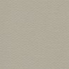 Cartulina Mi-Teintes Canson 343 Gris Trianon de 160 G 50X65 CM
