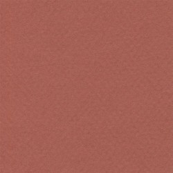 Cartulina Mi-Teintes Canson 130 Terre Rouge de 160 G 50X65 CM