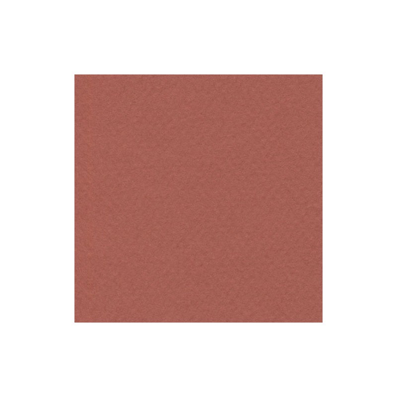Cartulina Mi-Teintes Canson 130 Terre Rouge de 160 G 50X65 CM