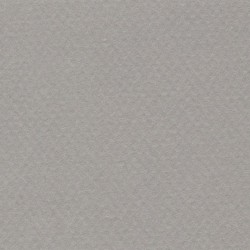 Cartulina Mi-Teintes Canson 122 Gris Flanell de 160 G 50X65 CM