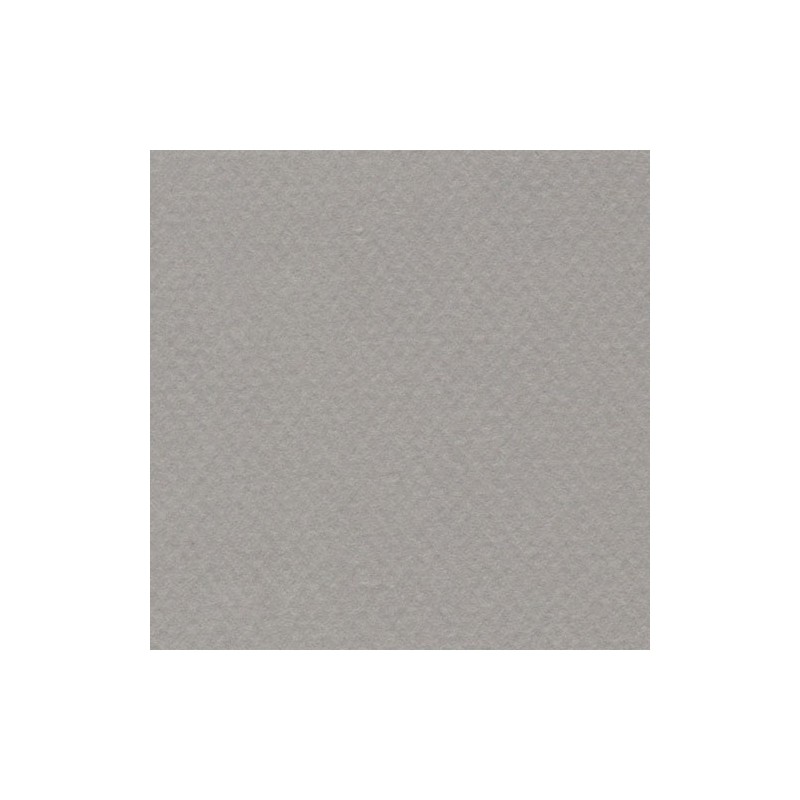 Cartulina Mi-Teintes Canson 122 Gris Flanell de 160 G 50X65 CM