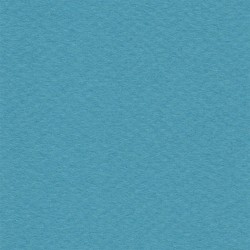 Cartulina Mi-Teintes Canson 119 Mers Du Sud de 160 G 50X65 CM
