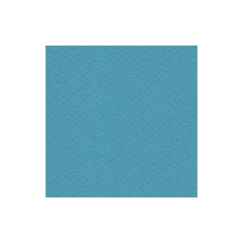 Cartulina Mi-Teintes Canson 119 Mers Du Sud de 160 G 50X65 CM