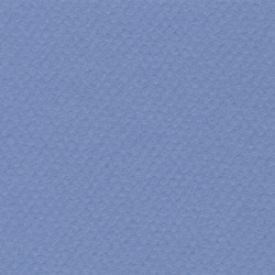 Cartulina Mi-Teintes Canson 118 Bleu Givre de 160 G 50X65 CM