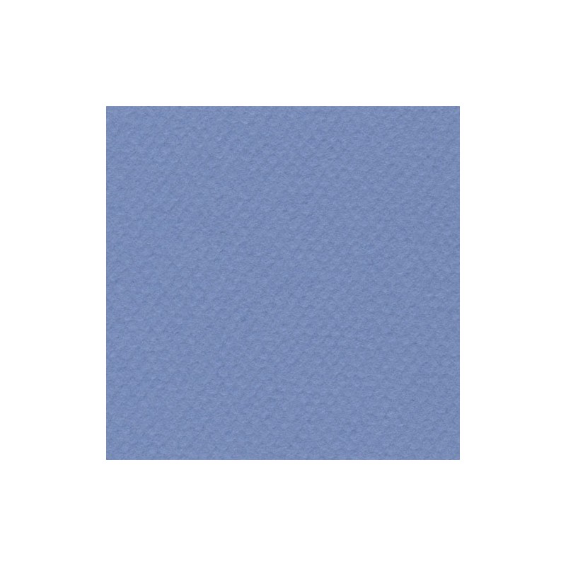 Cartulina Mi-Teintes Canson 118 Bleu Givre de 160 G 50X65 CM