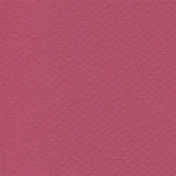 Cartulina Mi-Teintes Canson 114 Framboise de 160 G 50X65 CM