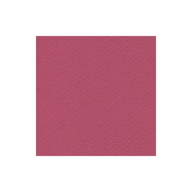 Cartulina Mi-Teintes Canson 114 Framboise de 160 G 50X65 CM